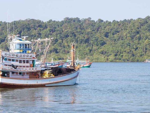 Location bateau lac du Bourget : que faut-il savoir pour une journée vraiment parfaite ?