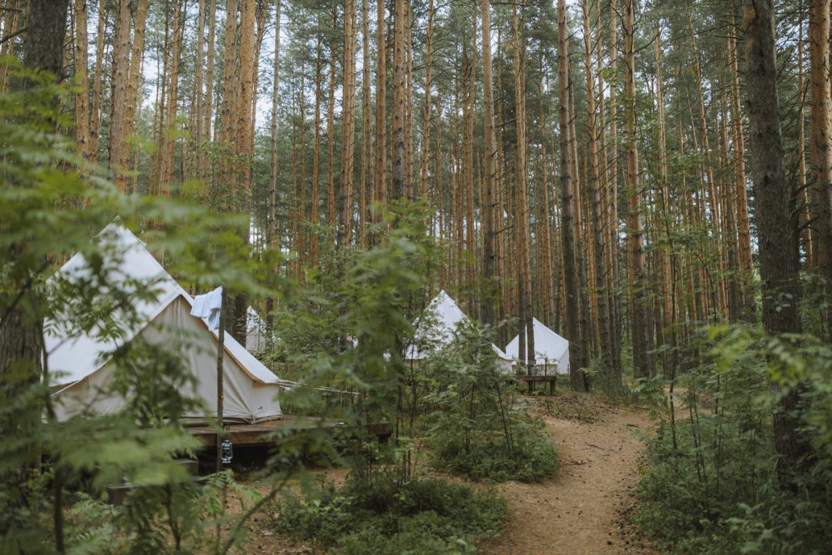 Camping ou cottage près de Ballainvilliers : comparatif rapide