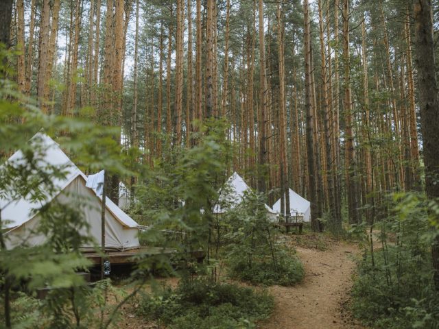 Camping ou cottage près de Ballainvilliers : comparatif rapide