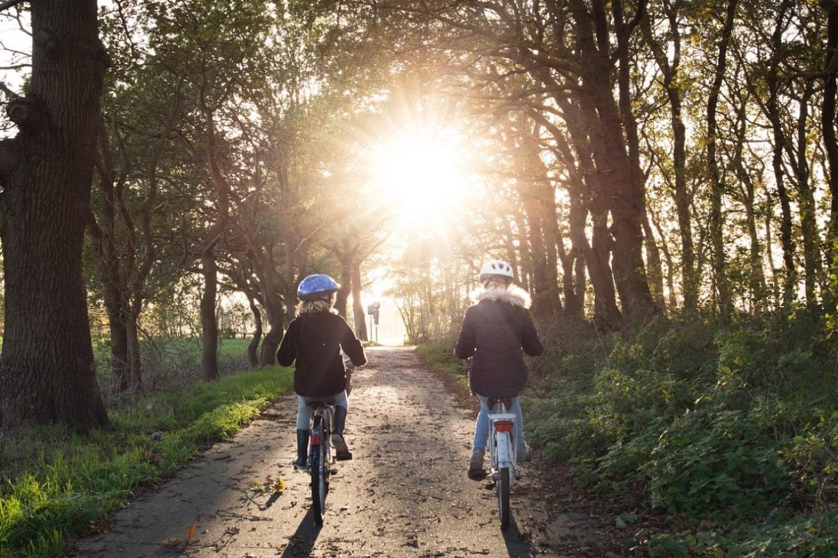 Itinéraires autour de Ballainvilliers pour familles et sportifs
