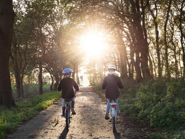Itinéraires autour de Ballainvilliers pour familles et sportifs